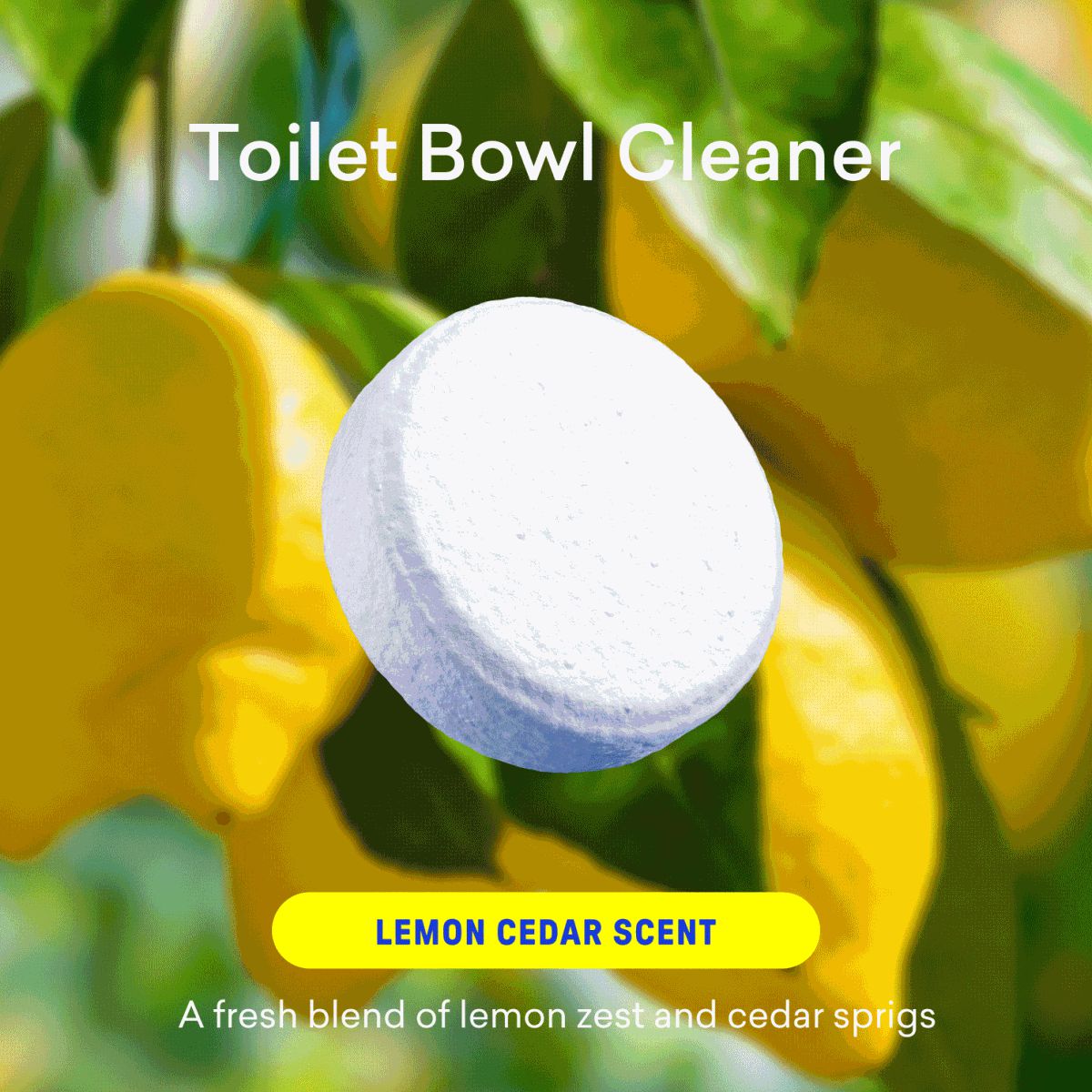 Laundry Detergent & Toilet Bowl Cleaner Kit