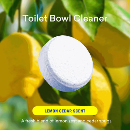 Laundry Detergent & Toilet Bowl Cleaner Kit