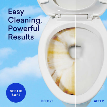Toilet Bowl Cleaner Tablet Refills