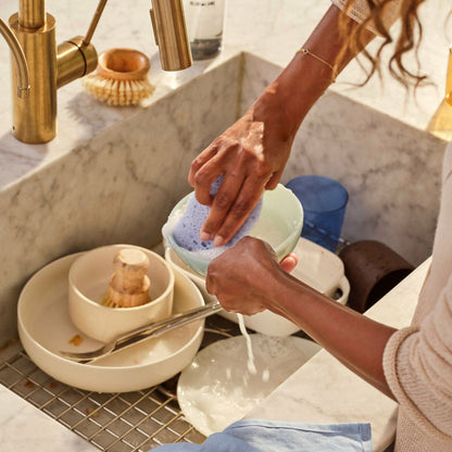 Pop-Up Sponge
